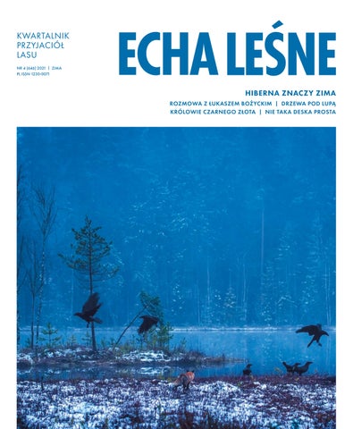Echa Leśne 4/2021