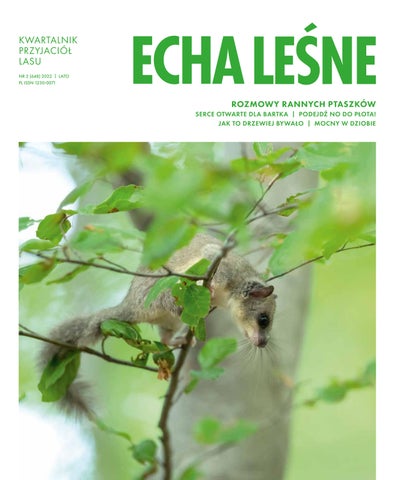 Echa Leśne 2/2022
