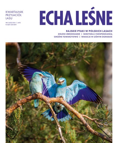 Echa Leśne 2/2023
