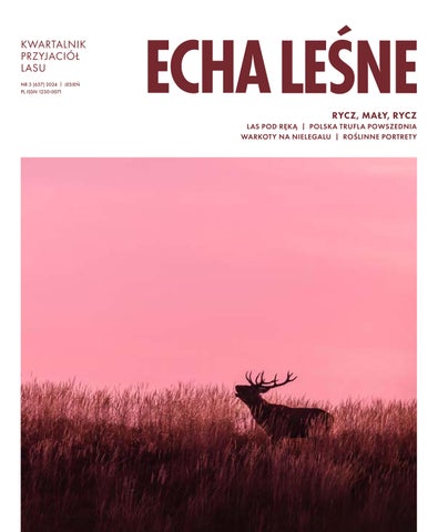 Echa Leśne 3/2024