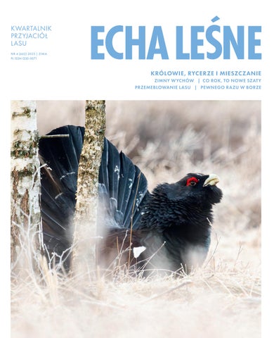 Echa Leśne 4/2025