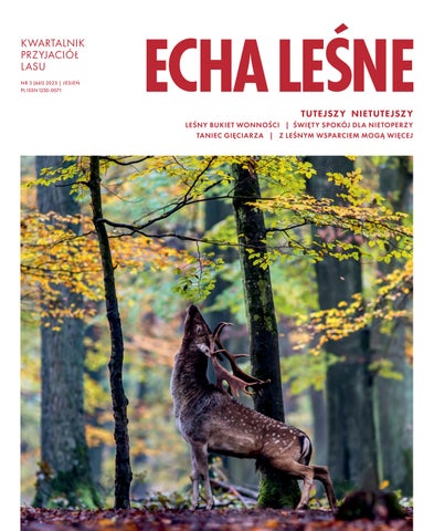 Echa Leśne 3/2025