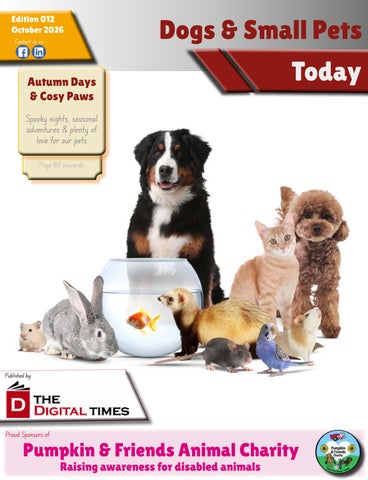 Dogs & Small Pets Today 012