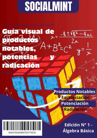 SOCIALMINT: Edición de Algebra