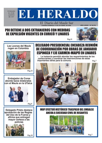Domingo 11 de octubre 2026