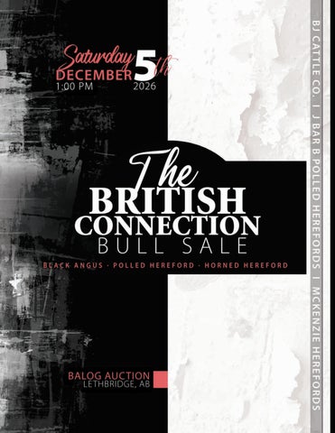 The British Connection Bull Sale