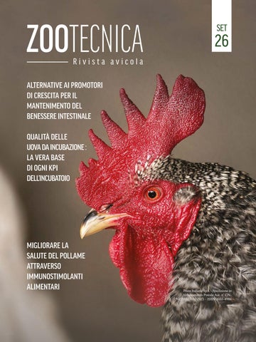 Zootecnica | Rivista avicola - Settembre 2026