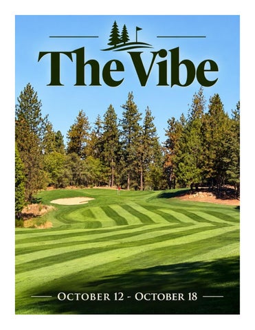 THE VIBE 10.12.26