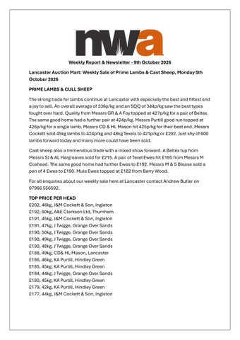 NWA NEWSLETTER 091026