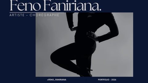 Portfolio artistique - Diary Feno Faniriana RABESETRA 
