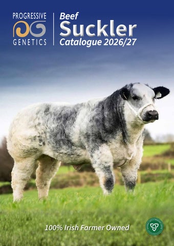 2026/2027 Suckler Catalogue by progressivegenetics.ie - Issuu