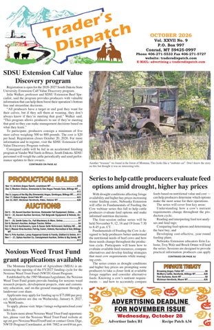 Trader's Dispatch - October 2026