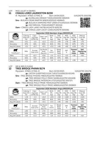 Pedigree Beef Day and Hallington 141026 第 15 页