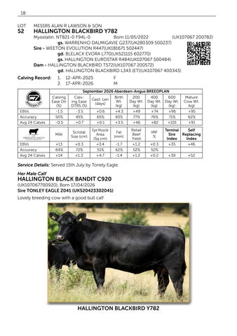 Pedigree Beef Day and Hallington 141026 第 20 页
