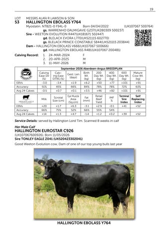 Pedigree Beef Day and Hallington 141026 第 21 页