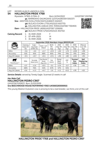 Pedigree Beef Day and Hallington 141026 第 22 页