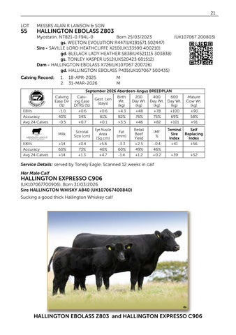 Pedigree Beef Day and Hallington 141026 第 23 页
