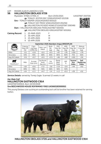 Pedigree Beef Day and Hallington 141026 第 24 页
