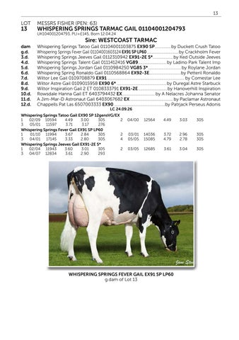 Club Dairy Sale 131026 第 15 页