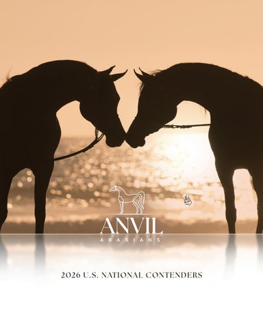 2026 Anvil Arabians U.S. National Contenders