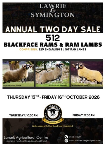 10. 15-16 1026 - October Blackface Ram & Ram Lambs Catalogue