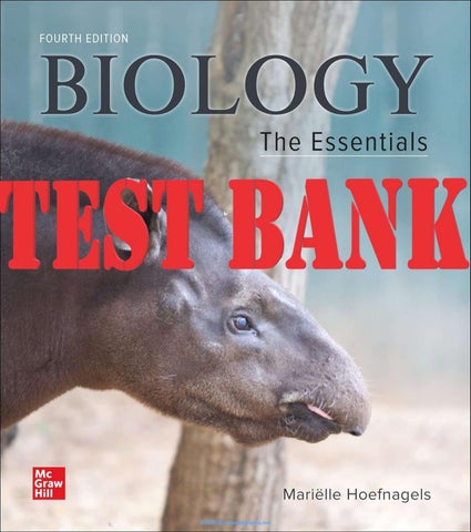 Test Bank for Biology The Essentials, 4th Edition by Marielle Hoefnagels