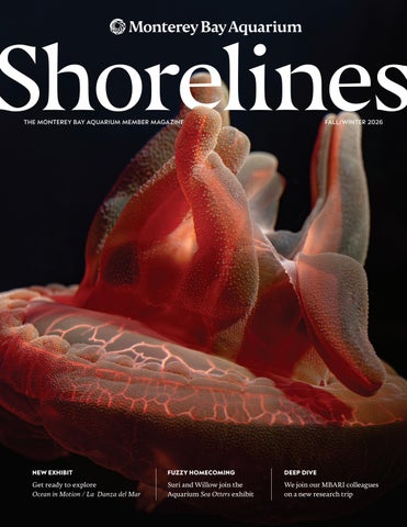 Shorelines_Fall:Winter 2026