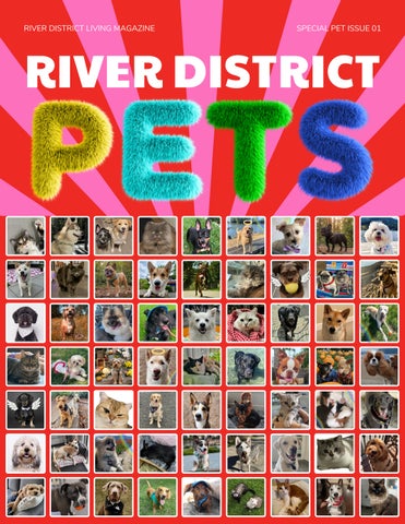 River District Living magazine - Special Pet Issue 01