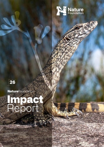 2026 Impact Report