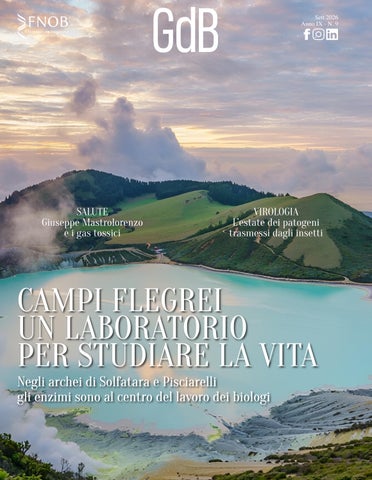Il Giornale dei Biologi - N.9 - Settembre 2026