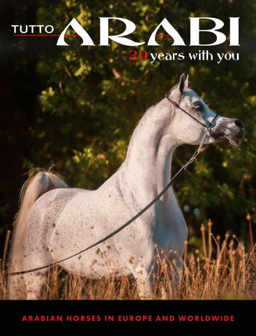 Tutto Arabi October Edition 2026