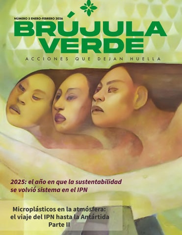 Brújula-Verde-Num05