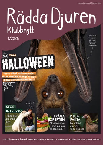 Klubbnytt #4 2026 (Rädda Djuren-klubben)