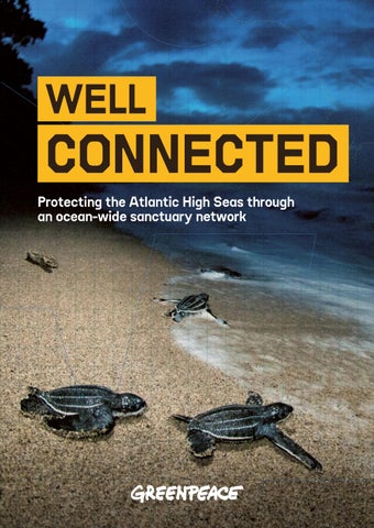 WELL CONNECTED: Protecting the Atlantic High Seas through an ocean-wide sanctuary network