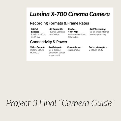 Portfolio Project