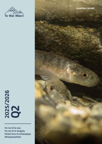 Te Wai Māori Trust Q2 Report 2025-26