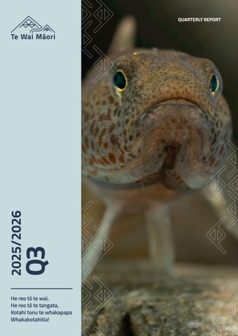 Te Wai Māori Trust Q3 Report 2025-26