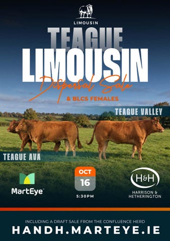 167150 Limousin Web 版本 第 1 页