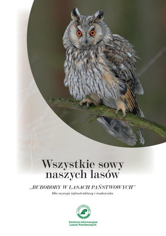 „Wszystkie sowy naszych lasów"