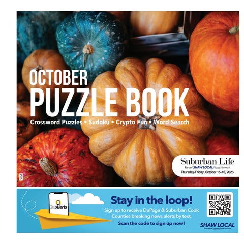 SLM_Puzzle Book_101526