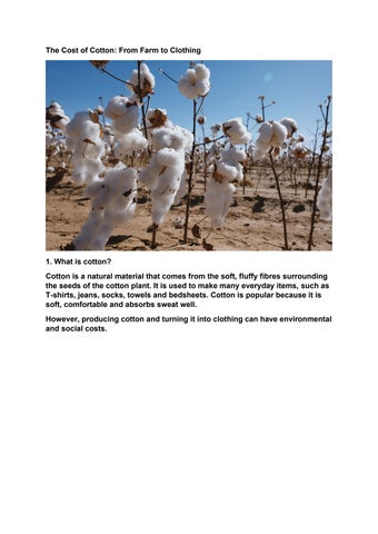 From Farm  to Clothing