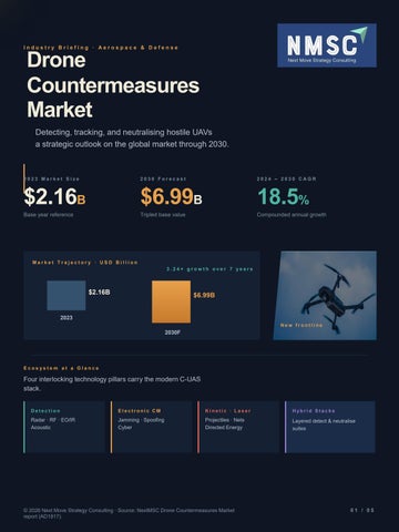 Drone Countermeasures: Global Market Insights & Future Trends