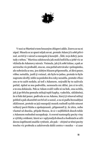 Michal Sýkora: Půlnoční aleje — 英国 ázka 第 11 页