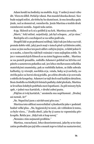 Michal Sýkora: Půlnoční aleje — 英国 ázka 第 14 页