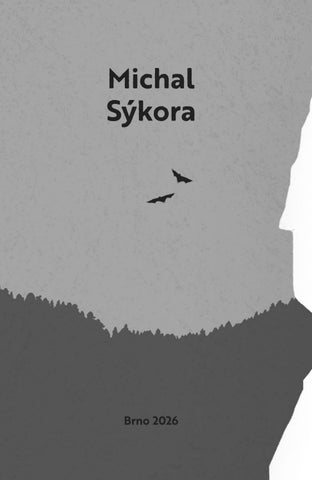 Michal Sýkora: Půlnoční aleje — 英国 ázka 第 4 页