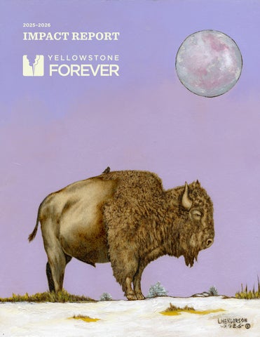 Yellowstone Forever Impact Report 2025-2026