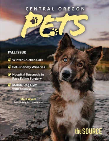 CO Pets Fall 2026