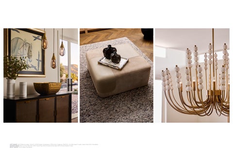 Arteriors F28 第 5 页