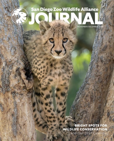 San Diego Zoo Wildlife Alliance Journal November 2026
