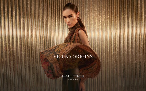 VICUNA ORIGINS 